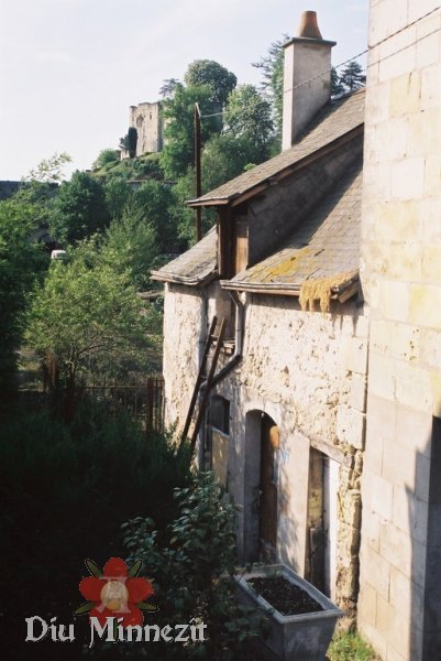 Pitoreske Häuser im Ort Langeais, mit Teilen der Burg im Hintergrund