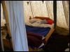 Geschichte erleben - Goslar im Salierjahr Geschichte erleben - Goslar im Salierjahr