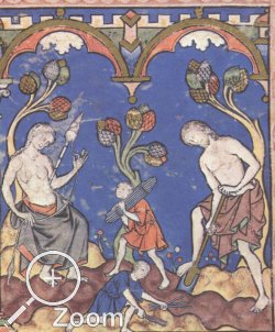 Eva beim Spinnen mit der Handspindel. Detail aus der Morganbibel, Frankreich, 1250